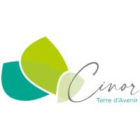 CINOR : Brand Short Description Type Here.